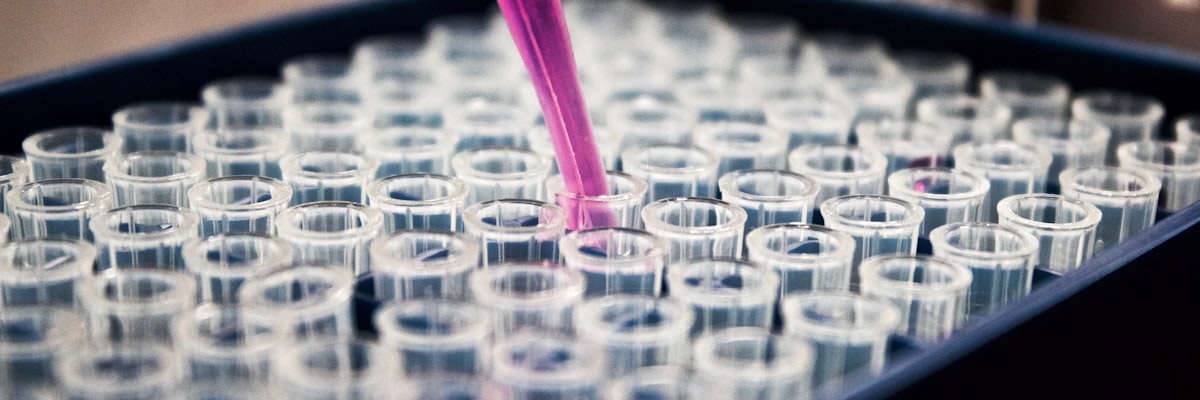 ماشین‌سازان تهران